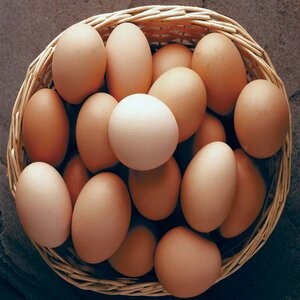 Eggs-12pcs