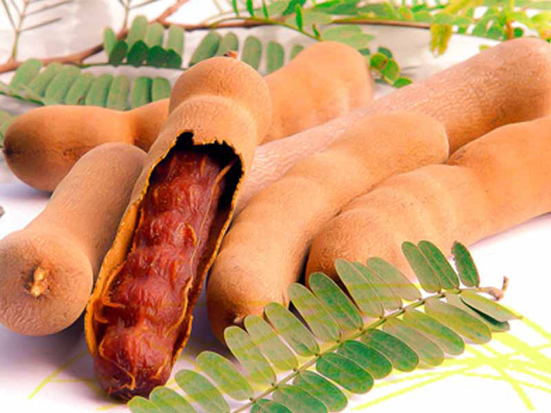 Tamarind (Tetul) 500gm